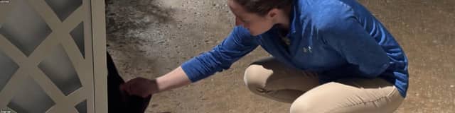 jivLRmSe